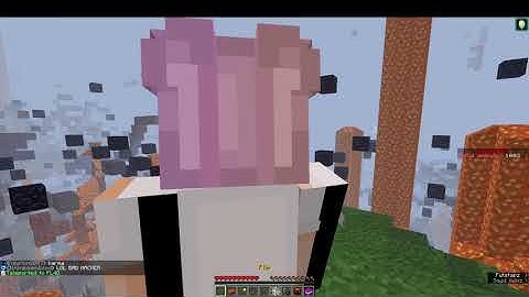 FL4G Is hacking on MunchyMC