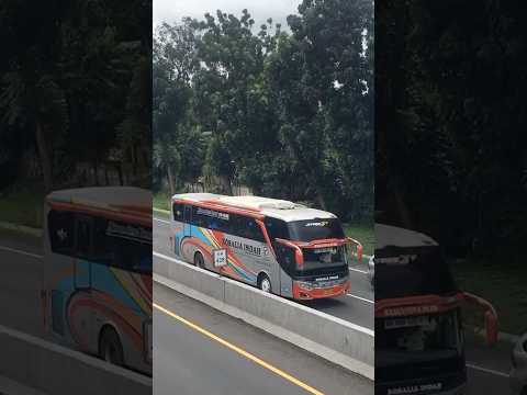 Rosin feat Garuda Mas‼️ #rosaliaindah #garudamas #jetbus #adiputro #busakap #shorts