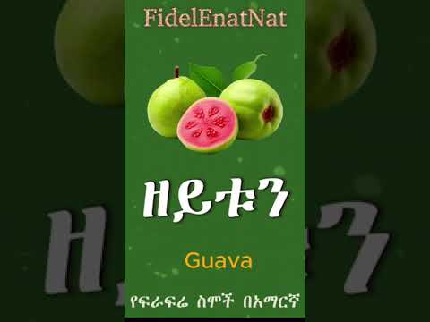 01 የፍራፍሬ ስሞች በአማርኛና በእንግሊዘኛ Names Of Fruits In Amharic Amharic Alphabet