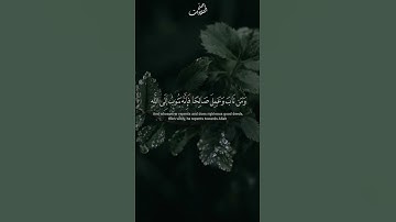 وكان الله غفورا رحيما | تلاوة مؤثرة بصوت ابراهيم ادريس #قران_كريم #ياسر_الدوسري #تلاوة_خاشعة #quran