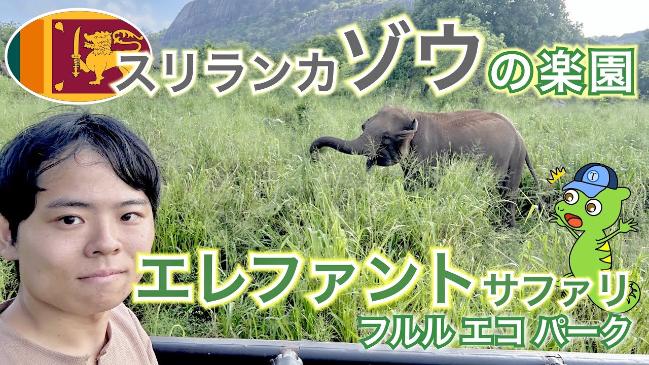 【スリランカ🇱🇰フルルエコパーク】ゾウの楽園！気軽に楽しめるサファリ