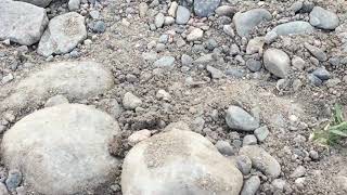 16) El río Medina en la provincia de Tucumán