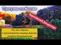 Тот, кто стрелял в краснокнижного Мишку Диксона остаётся безнаказанным. В Бирюлёвском Дендропарке