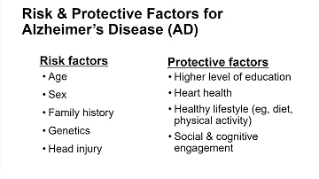 Kann man sich auf das Alzheimer Gen testen lassen?