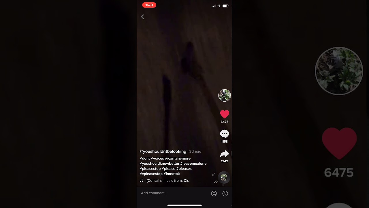 You Shouldn't Be Looking TikTok 10 Chasing YouTube