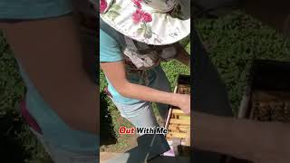 Using My Horizontal Hive for Surprise Queens 🐝 (Wasn’t Planning On It Yet!)