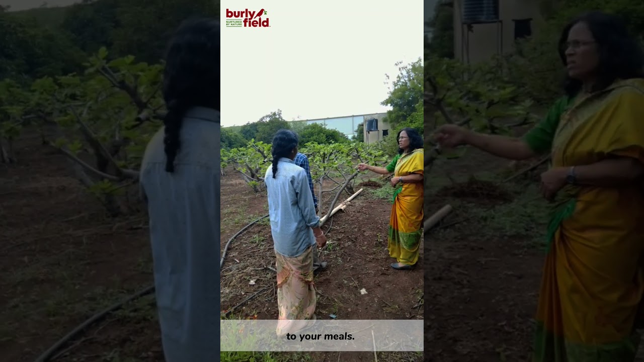 The Burlyfield Story | Rooted in Wellness | Part 4 Farm to Fork | Founder's note |Burlyfield foods