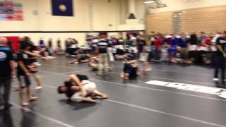 IMG 0232