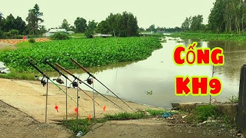 Câu Cá Tra Sông - Cống KH9 Bãi Câu Huyền Thoại Của Nhiều Cần Thủ | Fishing - Miền Tây