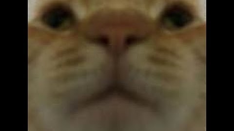 Another dub in da books