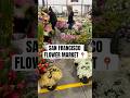 San Francisco📍flower market 🌹.         #giviral #flower #viralshort #sanfrancisco