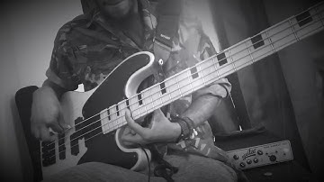 MXR bass PreAmp x Zoom MS-60B