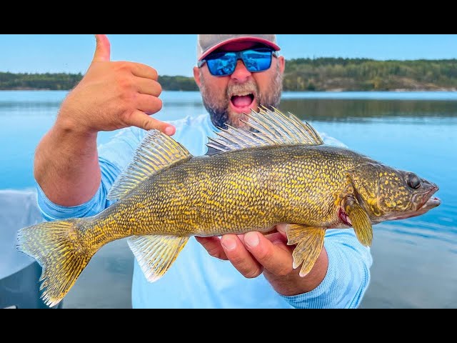 Rippin' Up Walleyes in Early Fall on Puppet Minnows (Tips