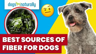 Best Sources Of Fiber For Dogs