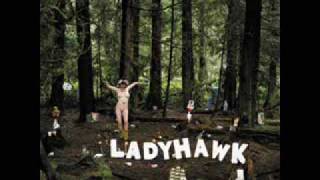 Miniatura del video "Ladyhawk-The Dugout"