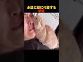 永遠に顔に付着する愛猫　#shorts #animals #funny #動物#猫 #可愛い #面白い #癒し