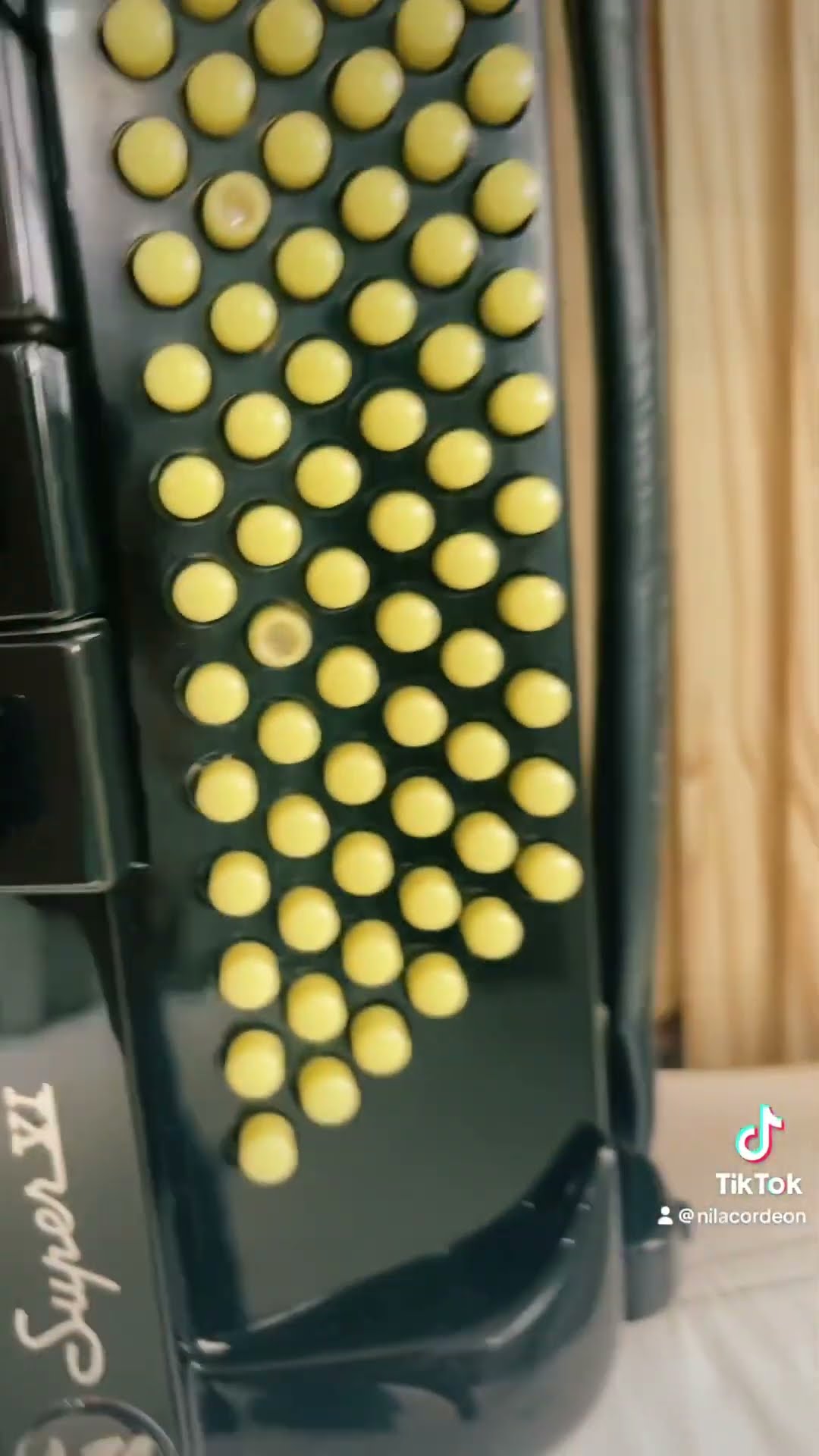 Musica e Acordeon do #mestrejovenil