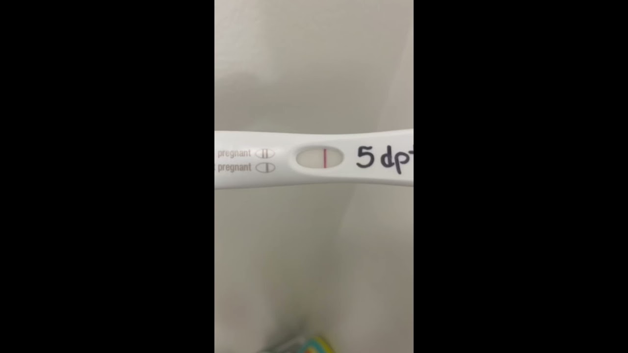 FROZEN EMBRYO TRANSFER FET 5 Days Post Transfer Live PREGNANCY TEST IVF POSITIVE 