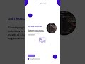 Custom software development