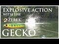 Top Water Explosion with the Zerek Gecko