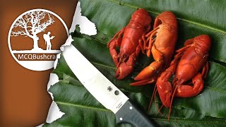 Bushcraft Catching & Cooking Crayfish