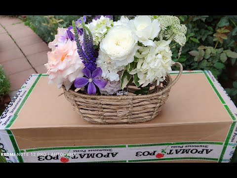 БОЛЬШАЯ РАСПАКОВКА РОЗ
