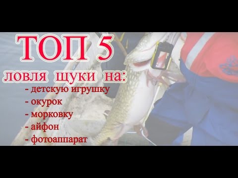 группа приманки вк группа приманки вк