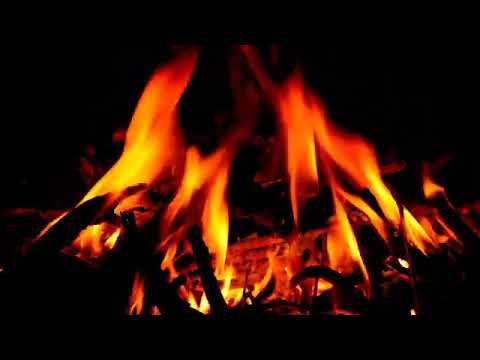 فيروز دفء الكلمات 5 ساعات متواصلة لأكثر من 100 أغنية 