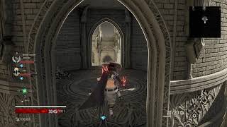 Code Vein 2019 11 30 18 15 41 01 ladder bug