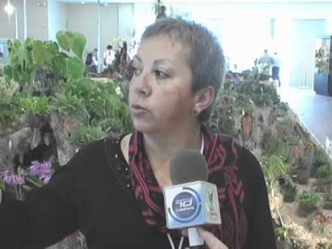 Video: Más información sobre asociaciones y clubes de jardinería