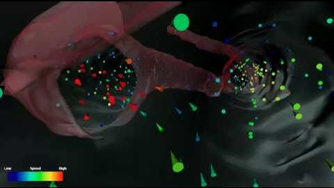 Amira | 3D visualization and analysis | 3D visualization of Simulated Blood Flow