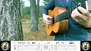Soft Descent (The Last of Us) | Fingerstyle Guitar (TAB Available)