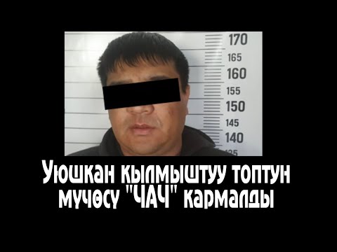 Video: Активдүү подду кантип туташтыруу керек