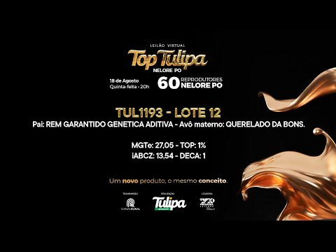 lote 12   TUL 1193