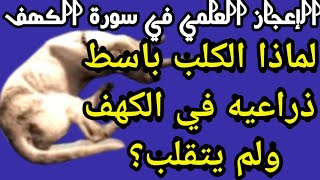 هل تعلم لماذا الكلب باسط ذراعيه في سورة الكهف ولم يتقلب؟ - الاعجاز العلمي في سورة الكهف للعزازي