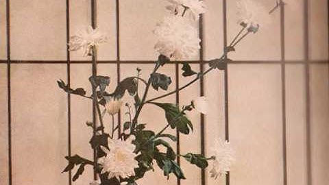 NOTS  Inherently Low