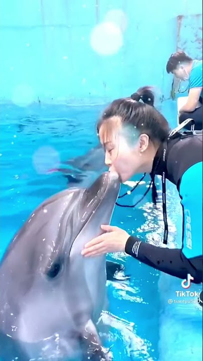 Cute dolphin 🐬 #shorts #animals #TikTok