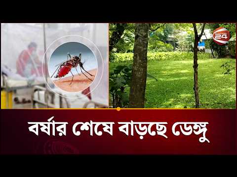 বর্ষার শেষে বাড়ছে ডেঙ্গু | Dengue Outbreak | Channel 24