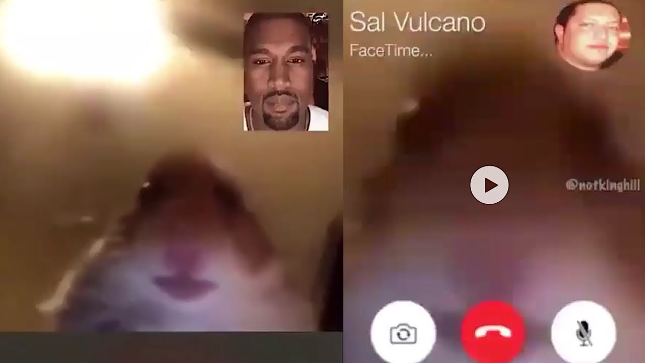 Hamster Facetime Call Meme