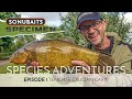 Summer Tench Fishing GATECRASHED! | Nick Marsh