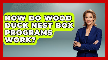 How Do Wood Duck Nest Box Programs Work? - Bird Watching Diaries
