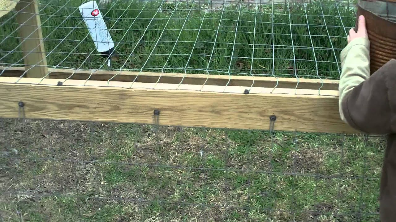 update on rabbit tractor 3 07 12 YouTube