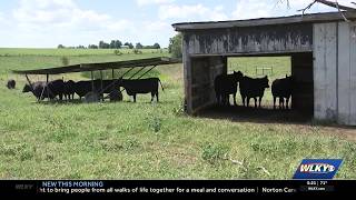 Feed Louisville partners with The Berry Center to provide quality food to Louisville communities