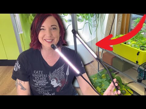 I BOUGHT A $20 GROW LIGHT FROM AMAZON - WAS IT WORTH IT?