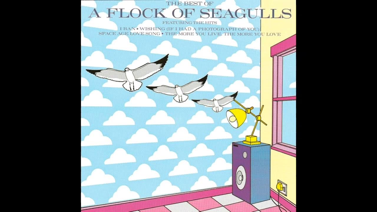 The Best of A Flock of Seagulls [Full Album] YouTube
