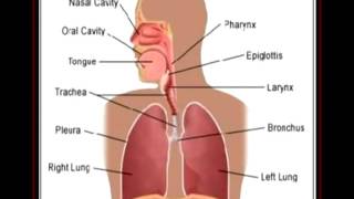 Symptoms and Signs of Mesothelioma - a type of cancer