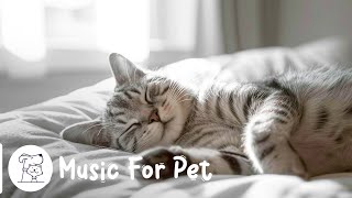 Calming piano music for cats ♬ Instantly Soothe Your Anxious Cat with Purring sounds by Peaceful Pet Piano 74 views 4 hours ago 3 hours, 3 minutes