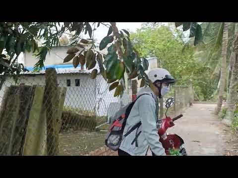 Video đất nền Cần Thơ vùng ven 600 m vuông giá bán 690 triệu... - youtube