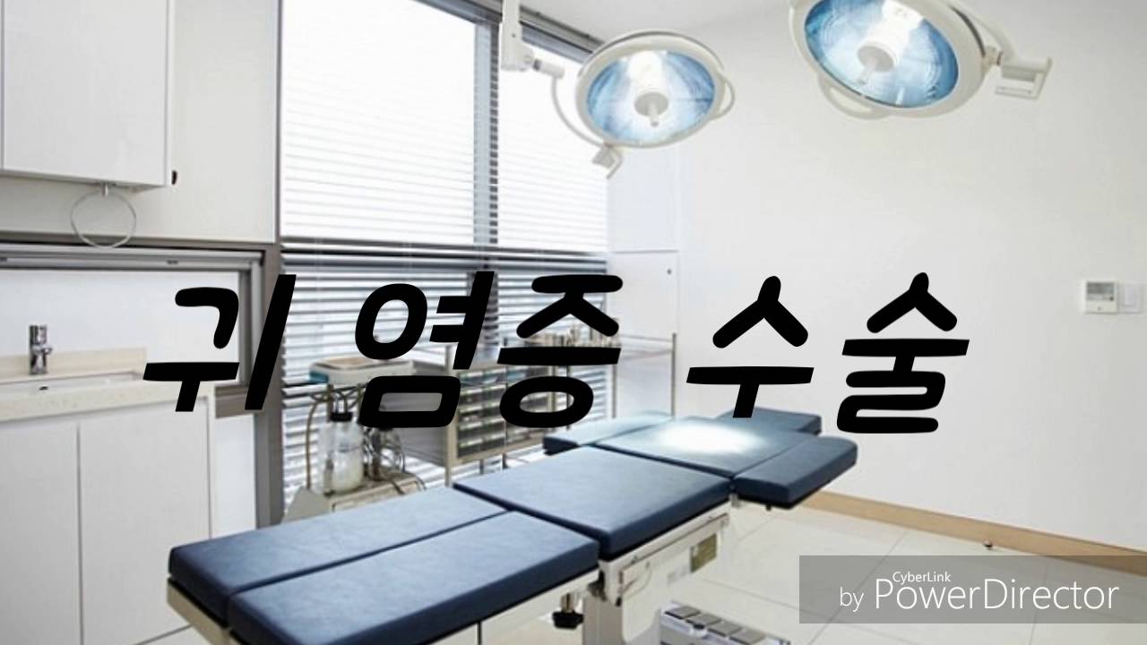 (한국어ASMR)귀 염증 수술/부분마취/속닥속닥/잡음주의/korean ASMR