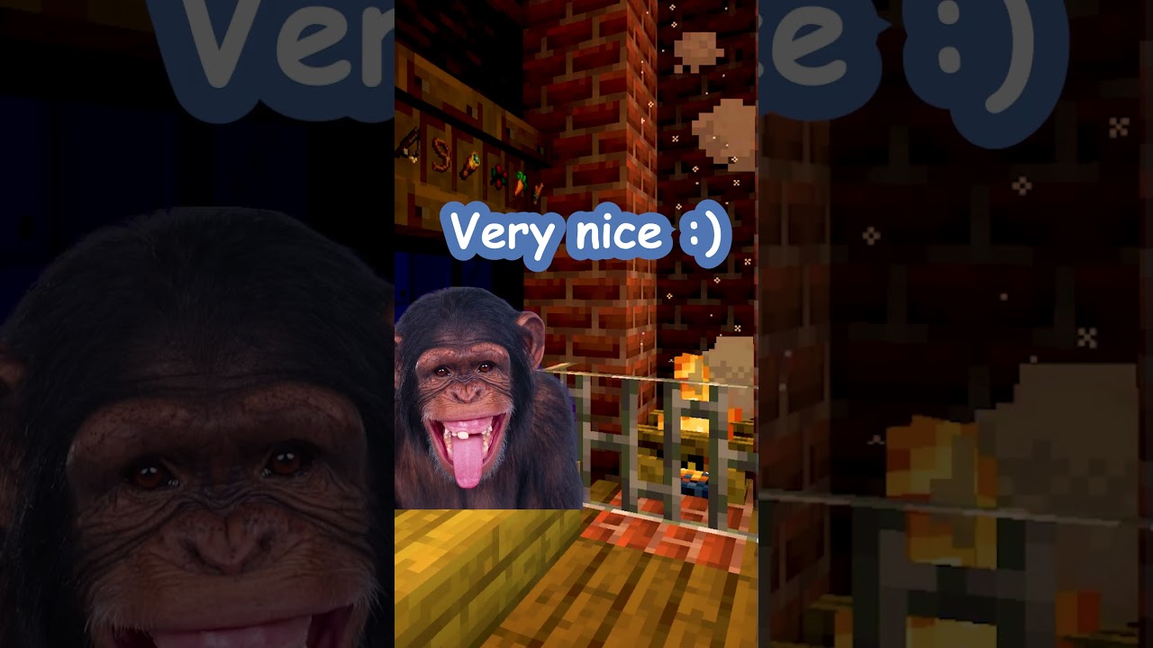 Take a Break From Scrolling With Me! 